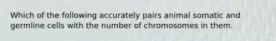 Which of the following accurately pairs animal somatic and germline cells with the number of chromosomes in them.