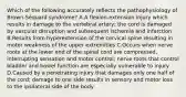 Which of the following accurately reflects the pathophysiology of​ Brown-Séquard syndrome? A.A​ flexion-extension injury which results in damage to the vertebral​ artery; the cord is damaged by vascular disruption and subsequent ischemia and infarction B.Results from hyperextension of the cervical spine resulting in motor weakness of the upper extremities C.Occurs when nerve roots at the lower end of the spinal cord are​ compressed, interrupting sensation and motor​ control; nerve roots that control bladder and bowel function are especially vulnerable to injury D.Caused by a penetrating injury that damages only one half of the​ cord; damage to one side results in sensory and motor loss to the ipsilateral side of the body