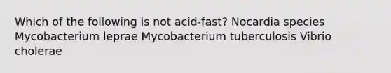 Which of the following is not acid-fast? Nocardia species Mycobacterium leprae Mycobacterium tuberculosis Vibrio cholerae