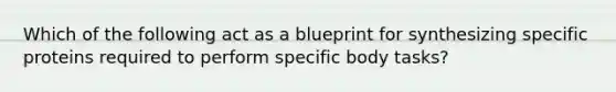 Which of the following act as a blueprint for synthesizing specific proteins required to perform specific body tasks?