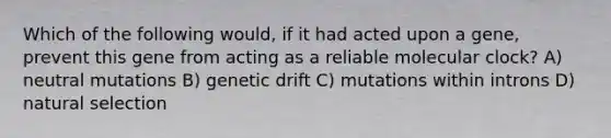 Which of the following would, if it had acted upon a gene, prevent this gene from acting as a reliable molecular clock? A) neutral mutations B) genetic drift C) mutations within introns D) natural selection