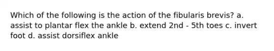 Which of the following is the action of the fibularis brevis? a. assist to plantar flex the ankle b. extend 2nd - 5th toes c. invert foot d. assist dorsiflex ankle