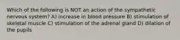 Which of the following is NOT an action of the sympathetic nervous system? A) increase in blood pressure B) stimulation of skeletal muscle C) stimulation of the adrenal gland D) dilation of the pupils