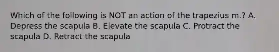 Which of the following is NOT an action of the trapezius m.? A. Depress the scapula B. Elevate the scapula C. Protract the scapula D. Retract the scapula