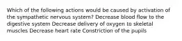 Which of the following actions would be caused by activation of the sympathetic nervous system? Decrease blood flow to the digestive system Decrease delivery of oxygen to skeletal muscles Decrease heart rate Constriction of the pupils