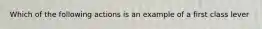 Which of the following actions is an example of a first class lever