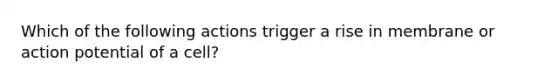 Which of the following actions trigger a rise in membrane or action potential of a cell?