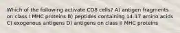 Which of the following activate CD8 cells? A) antigen fragments on class I MHC proteins B) peptides containing 14-17 amino acids C) exogenous antigens D) antigens on class II MHC proteins