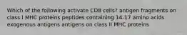 Which of the following activate CD8 cells? antigen fragments on class I MHC proteins peptides containing 14-17 amino acids exogenous antigens antigens on class II MHC proteins