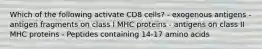 Which of the following activate CD8 cells? - exogenous antigens - antigen fragments on class I MHC proteins - antigens on class II MHC proteins - Peptides containing 14-17 amino acids