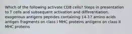 Which of the following activate CD8 cells? Steps in presentation to T cells and subsequent activation and differentiation. exogenous antigens peptides containing 14-17 amino acids antigen fragments on class I MHC proteins antigens on class II MHC proteins