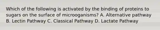 Which of the following is activated by the binding of proteins to sugars on the surface of microoganisms? A. Alternative pathway B. Lectin Pathway C. Classical Pathway D. Lactate Pathway