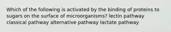 Which of the following is activated by the binding of proteins to sugars on the surface of microorganisms? lectin pathway classical pathway alternative pathway lactate pathway