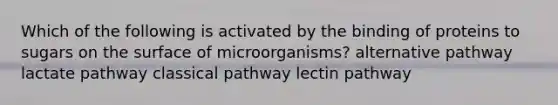 Which of the following is activated by the binding of proteins to sugars on the surface of microorganisms? alternative pathway lactate pathway classical pathway lectin pathway