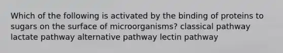 Which of the following is activated by the binding of proteins to sugars on the surface of microorganisms? classical pathway lactate pathway alternative pathway lectin pathway