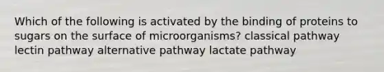 Which of the following is activated by the binding of proteins to sugars on the surface of microorganisms? classical pathway lectin pathway alternative pathway lactate pathway