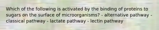 Which of the following is activated by the binding of proteins to sugars on the surface of microorganisms? - alternative pathway - classical pathway - lactate pathway - lectin pathway