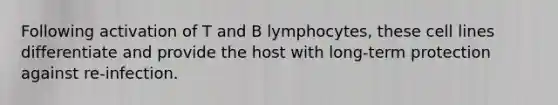 Following activation of T and B lymphocytes, these cell lines differentiate and provide the host with long-term protection against re-infection.