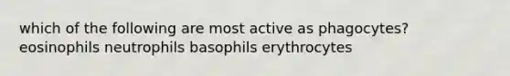 which of the following are most active as phagocytes? eosinophils neutrophils basophils erythrocytes