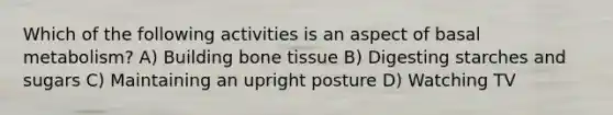 Which of the following activities is an aspect of basal metabolism? A) Building bone tissue B) Digesting starches and sugars C) Maintaining an upright posture D) Watching TV