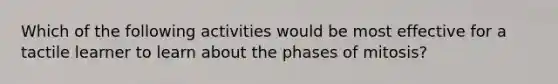 Which of the following activities would be most effective for a tactile learner to learn about the phases of mitosis?