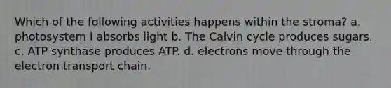 Which of the following activities happens within the stroma? a. photosystem I absorbs light b. The Calvin cycle produces sugars. c. ATP synthase produces ATP. d. electrons move through the electron transport chain.