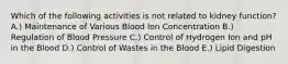 Which of the following activities is not related to kidney function? A.) Maintenance of Various Blood Ion Concentration B.) Regulation of Blood Pressure C.) Control of Hydrogen Ion and pH in the Blood D.) Control of Wastes in the Blood E.) Lipid Digestion