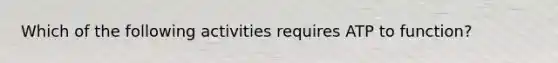 Which of the following activities requires ATP to function?