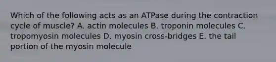 Which of the following acts as an ATPase during the contraction cycle of muscle? A. actin molecules B. troponin molecules C. tropomyosin molecules D. myosin cross-bridges E. the tail portion of the myosin molecule