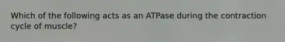 Which of the following acts as an ATPase during the contraction cycle of muscle?