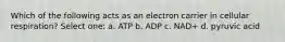 Which of the following acts as an electron carrier in cellular respiration? Select one: a. ATP b. ADP c. NAD+ d. pyruvic acid