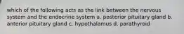 which of the following acts as the link between the nervous system and the endocrine system a. posterior pituitary gland b. anterior pituitary gland c. hypothalamus d. parathyroid