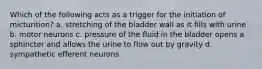 Which of the following acts as a trigger for the initiation of micturition? a. stretching of the bladder wall as it fills with urine b. motor neurons c. pressure of the fluid in the bladder opens a sphincter and allows the urine to flow out by gravity d. sympathetic efferent neurons