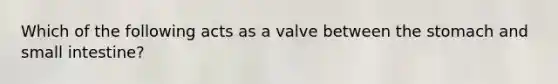 Which of the following acts as a valve between <a href='https://www.questionai.com/knowledge/kLccSGjkt8-the-stomach' class='anchor-knowledge'>the stomach</a> and small intestine?