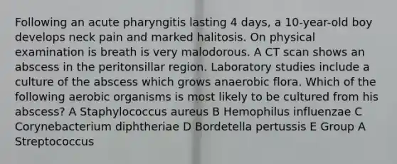 Following an acute pharyngitis lasting 4 days, a 10-year-old boy develops neck pain and marked halitosis. On physical examination is breath is very malodorous. A CT scan shows an abscess in the peritonsillar region. Laboratory studies include a culture of the abscess which grows anaerobic flora. Which of the following aerobic organisms is most likely to be cultured from his abscess? A Staphylococcus aureus B Hemophilus influenzae C Corynebacterium diphtheriae D Bordetella pertussis E Group A Streptococcus