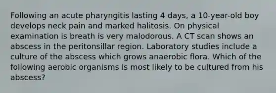 Following an acute pharyngitis lasting 4 days, a 10-year-old boy develops neck pain and marked halitosis. On physical examination is breath is very malodorous. A CT scan shows an abscess in the peritonsillar region. Laboratory studies include a culture of the abscess which grows anaerobic flora. Which of the following aerobic organisms is most likely to be cultured from his abscess?