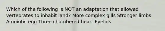 Which of the following is NOT an adaptation that allowed vertebrates to inhabit land? More complex gills Stronger limbs Amniotic egg Three chambered heart Eyelids