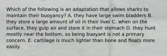 Which of the following is an adaptation that allows sharks to maintain their buoyancy? A. they have large swim bladders B. they store a large amount of oil in their liver C. when on the surface, they gulp air and store it in their stomach D. they hunt mostly near the bottom, so being buoyant is not a primary concern. E. cartilage is much lighter than bone and floats more easily