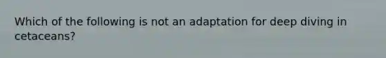 Which of the following is not an adaptation for deep diving in cetaceans?