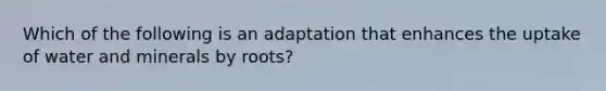 Which of the following is an adaptation that enhances the uptake of water and minerals by roots?