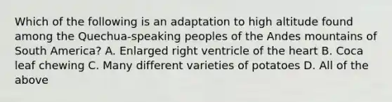 Which of the following is an adaptation to high altitude found among the Quechua-speaking peoples of the Andes mountains of South America? A. Enlarged right ventricle of the heart B. Coca leaf chewing C. Many different varieties of potatoes D. All of the above