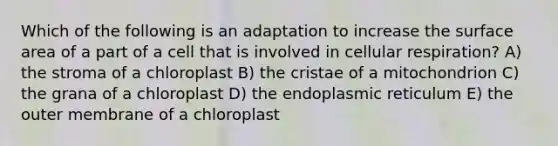 Which of the following is an adaptation to increase the surface area of a part of a cell that is involved in <a href='https://www.questionai.com/knowledge/k1IqNYBAJw-cellular-respiration' class='anchor-knowledge'>cellular respiration</a>? A) the stroma of a chloroplast B) the cristae of a mitochondrion C) the grana of a chloroplast D) the endoplasmic reticulum E) the outer membrane of a chloroplast