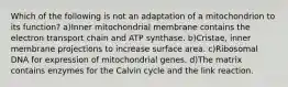 Which of the following is not an adaptation of a mitochondrion to its function? a)Inner mitochondrial membrane contains the electron transport chain and ATP synthase. b)Cristae, inner membrane projections to increase surface area. c)Ribosomal DNA for expression of mitochondrial genes. d)The matrix contains enzymes for the Calvin cycle and the link reaction.