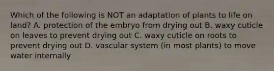 Which of the following is NOT an adaptation of plants to life on land? A. protection of the embryo from drying out B. waxy cuticle on leaves to prevent drying out C. waxy cuticle on roots to prevent drying out D. vascular system (in most plants) to move water internally