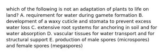 which of the following is not an adaptation of plants to life on land? A. requirement for water during gamete formation B. development of a waxy cuticle and stomata to prevent excess water loss C. extensive root systems for anchoring in soil and for water absorption D. vascular tissues for water transport and for structural support E. production of male spores (microspores) and female spores (megaspores)