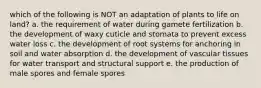 which of the following is NOT an adaptation of plants to life on land? a. the requirement of water during gamete fertilization b. the development of waxy cuticle and stomata to prevent excess water loss c. the development of root systems for anchoring in soil and water absorption d. the development of vascular tissues for water transport and structural support e. the production of male spores and female spores