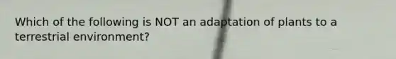 Which of the following is NOT an adaptation of plants to a terrestrial environment?