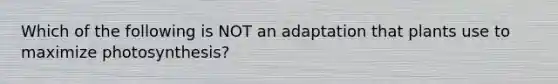 Which of the following is NOT an adaptation that plants use to maximize photosynthesis?