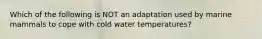 Which of the following is NOT an adaptation used by marine mammals to cope with cold water temperatures?