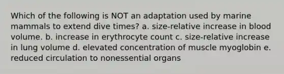 Which of the following is NOT an adaptation used by marine mammals to extend dive times? a. size-relative increase in blood volume. b. increase in erythrocyte count c. size-relative increase in lung volume d. elevated concentration of muscle myoglobin e. reduced circulation to nonessential organs